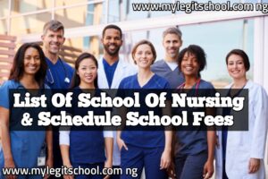 List Of School Of Nursing and their School Fees