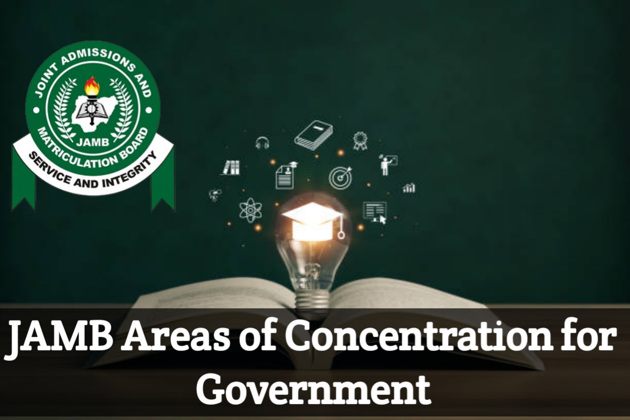 What are the Areas of Concentration for Government in JAMB